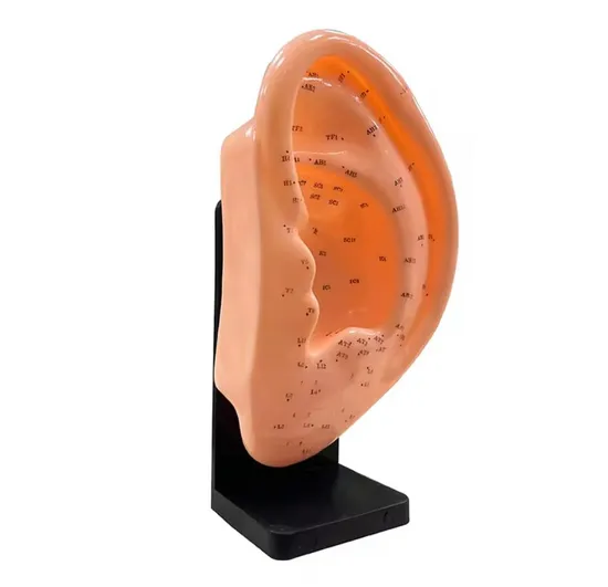 Официальный трубоукладчик XCMG Pmg40 (дополнительная модель для продажи)